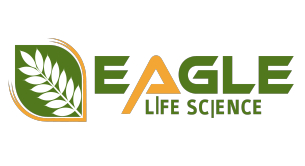 Eagle – Mechmons Machinery Client